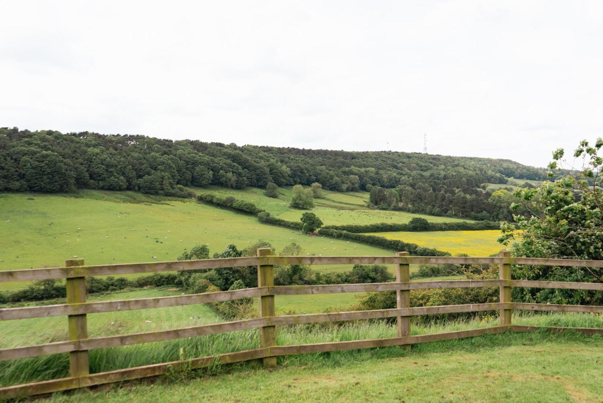 The Spinney Scarborough Buitenkant foto